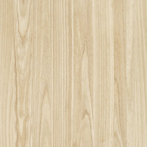 K6169AS Paulownia-M.M.