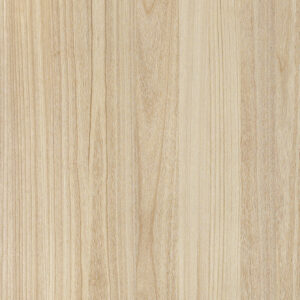 K6169BS Paulownia-M.M.