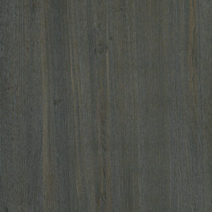 K6169FS Paulownia-M.M.