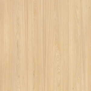 K6176AS Elm-M.M.