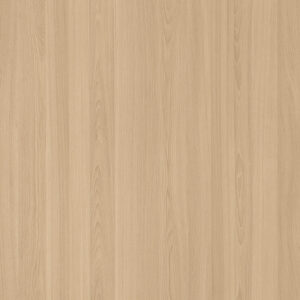 K6176ES Elm-M.M.