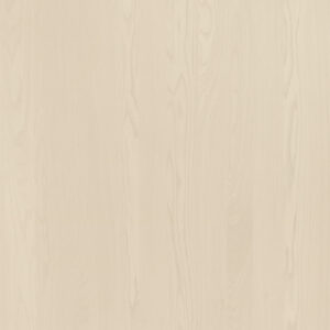 K6176HS Elm-M.M.