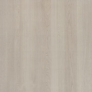 K6176RS Elm-M.M.