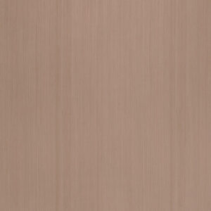 K6307 Poplar