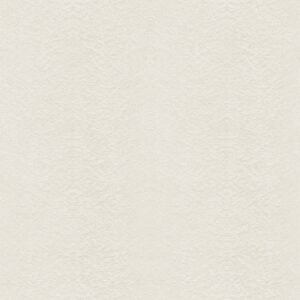 L159C Birdseye Maple