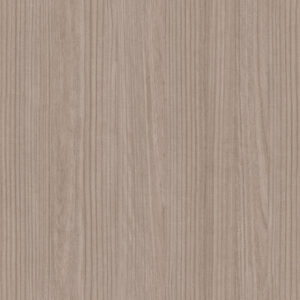 L169M Paulownia
