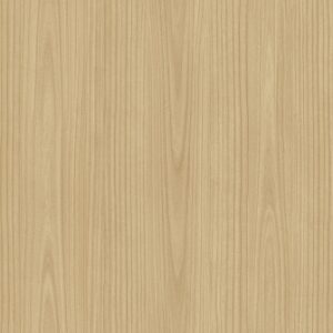 L269A Paulownia - C.C.