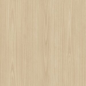 L269B Paulownia - C.C.