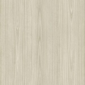 L269M Paulownia - C.C.