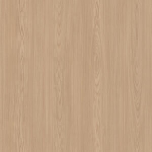 L276A Elm - C.C.