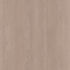 L279D Red Elm - C.C.