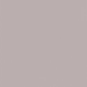 L8121 Eggshell Warm Gray