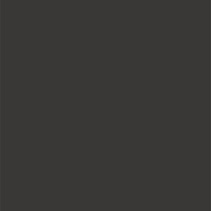 L8309 Silky Matte Jet Black
