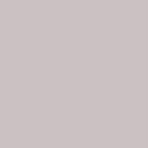 L8512 Silky Matte Titanium Silver