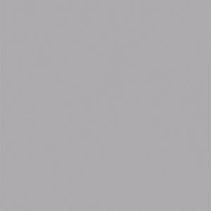 L8544 Eggshell Titanium Gray