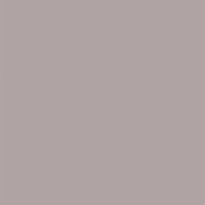 L8561 Sandblasted Shimmering Metallic Silver