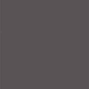 L8569 Sandblasted Shimmering Dim Silver